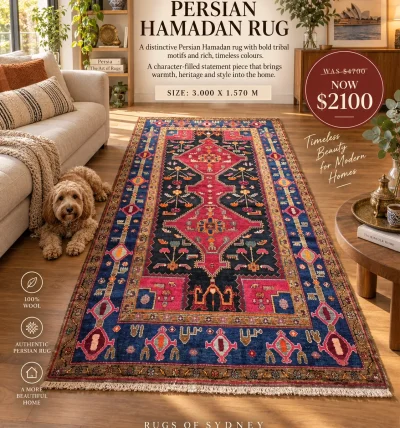 Authentic Persian Hamadan Rug (3.00m x 1.57m)